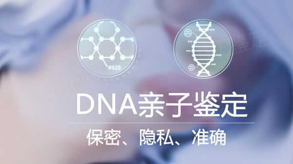 新余司法DNA亲子鉴定收费标准,新余专业司法亲子鉴定机构查询 新余司法DNA亲子鉴定收费标准,新余专业司法亲子鉴定机构查询