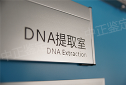 新余匿名亲子鉴定中心需要什么材料和流程